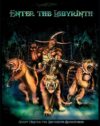 Enter the Labyrinth Cover